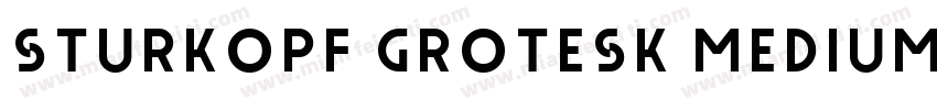 Sturkopf Grotesk Medium字体转换
